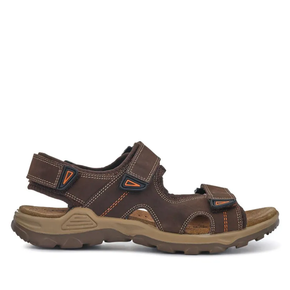 Casual Dual Touch-Fasten Sandals - Brown