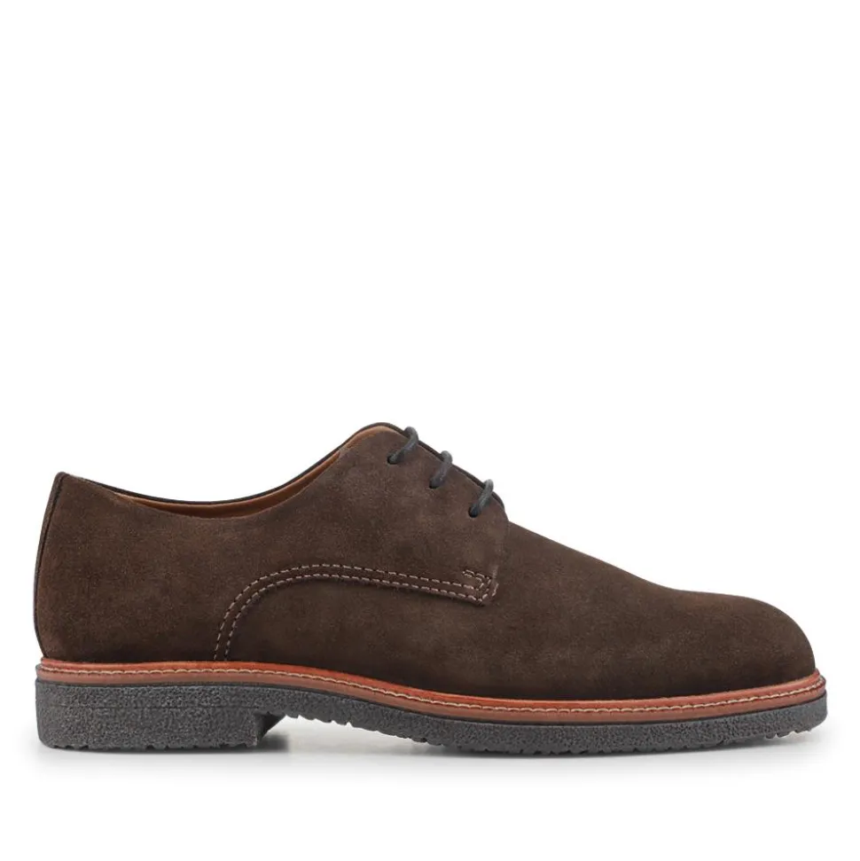Lance Suede Leather Casual Lace Up Shoes - Dark Brown Suede