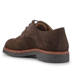 Lance Suede Leather Casual Lace Up Shoes - Dark Brown Suede