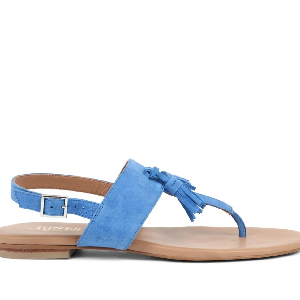 Lizabeth Leather Thong Sandals - Blue