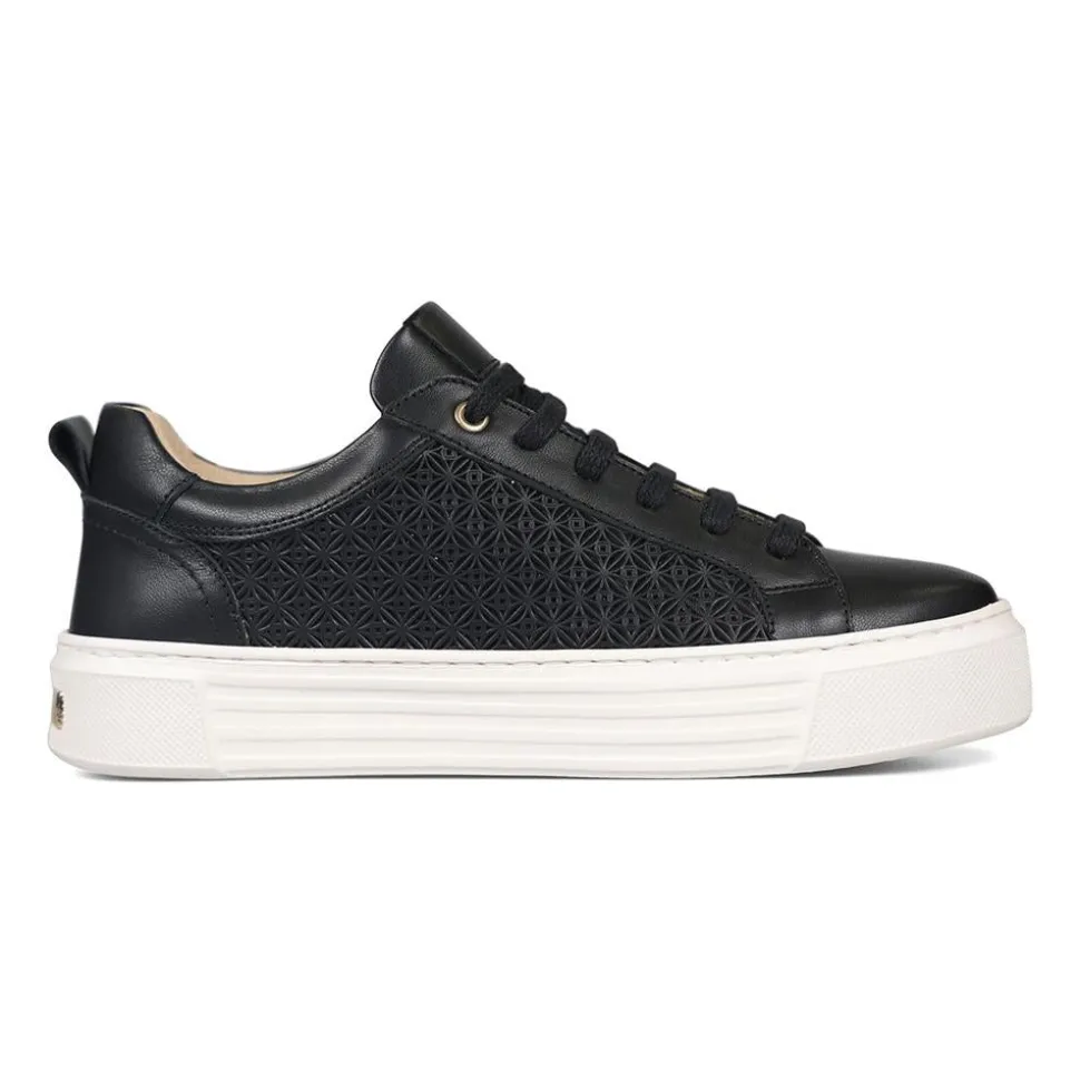 Sport Lux - Black Leather
